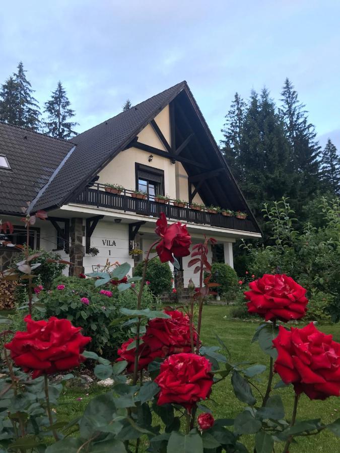 Complex Vile- Milana M Residence Poiana Brașov Exterior foto