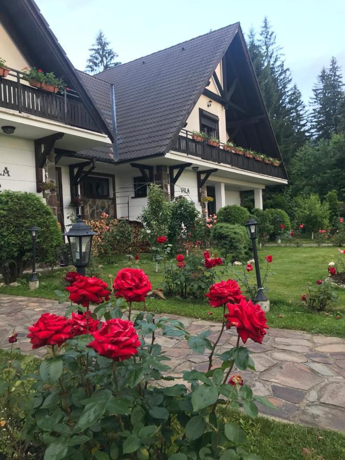 Complex Vile- Milana M Residence Poiana Brașov Exterior foto